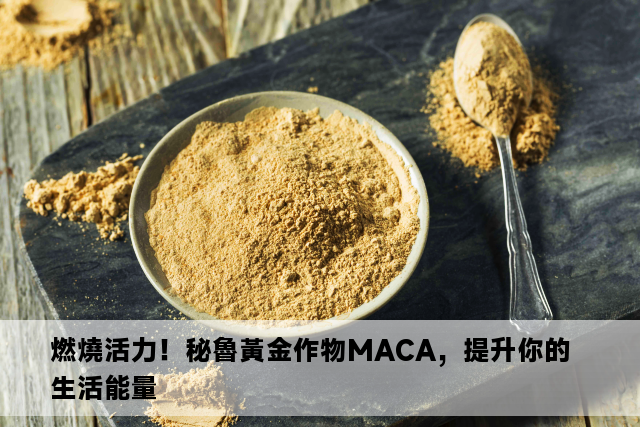 燃燒活力！秘魯黃金作物MACA，提升你的生活能量