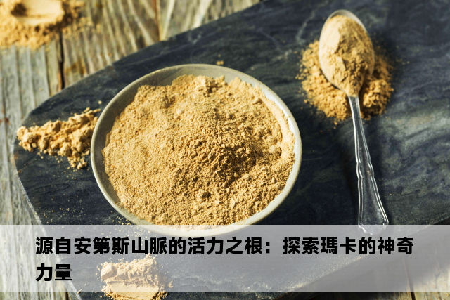 源自安第斯山脈的活力之根：探索瑪卡的神奇力量